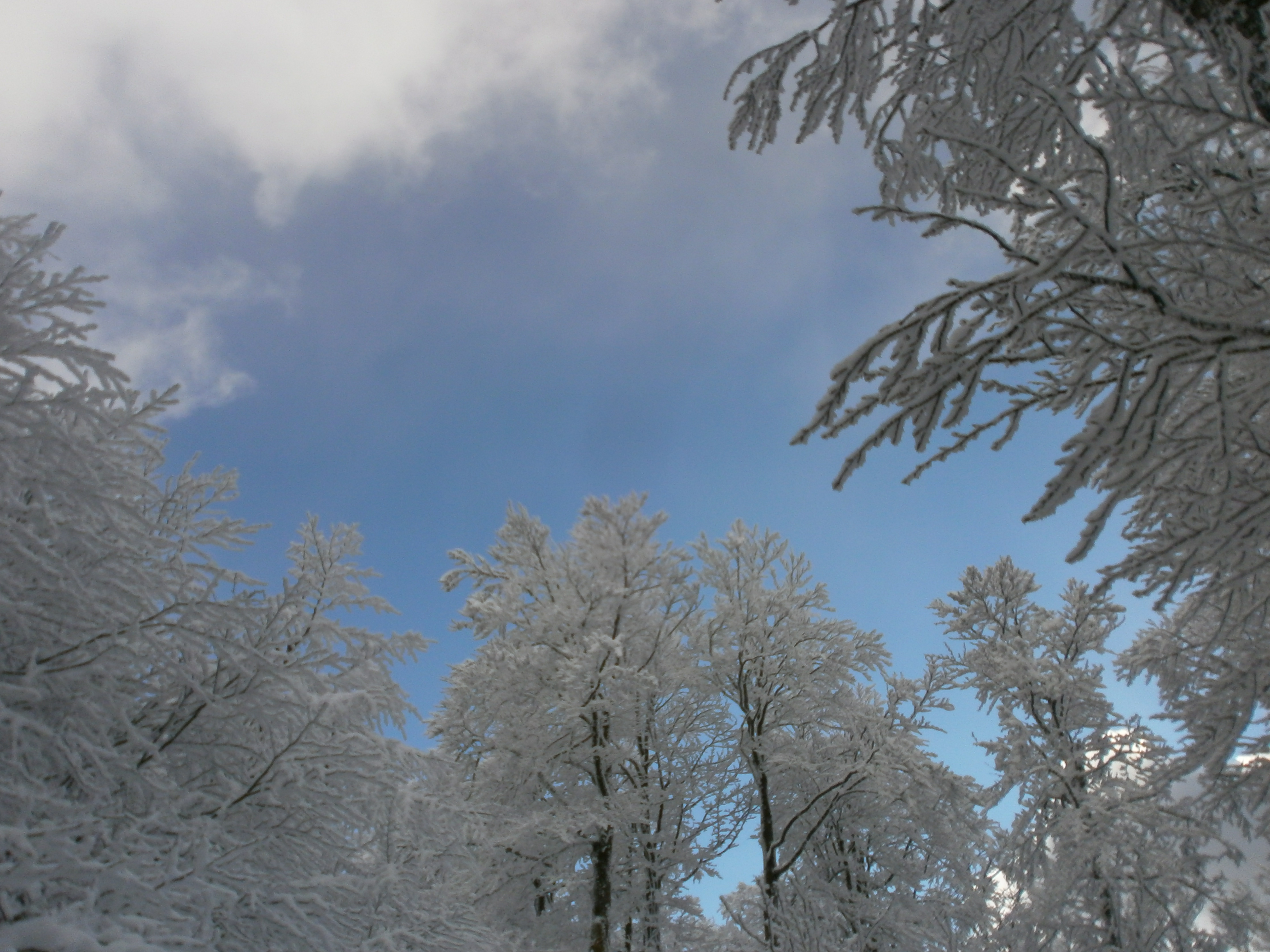 guide montagne la bresse vosges