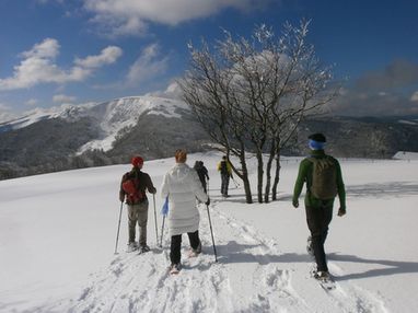 Balade en raquette la bresse vosges gérardmer guidée