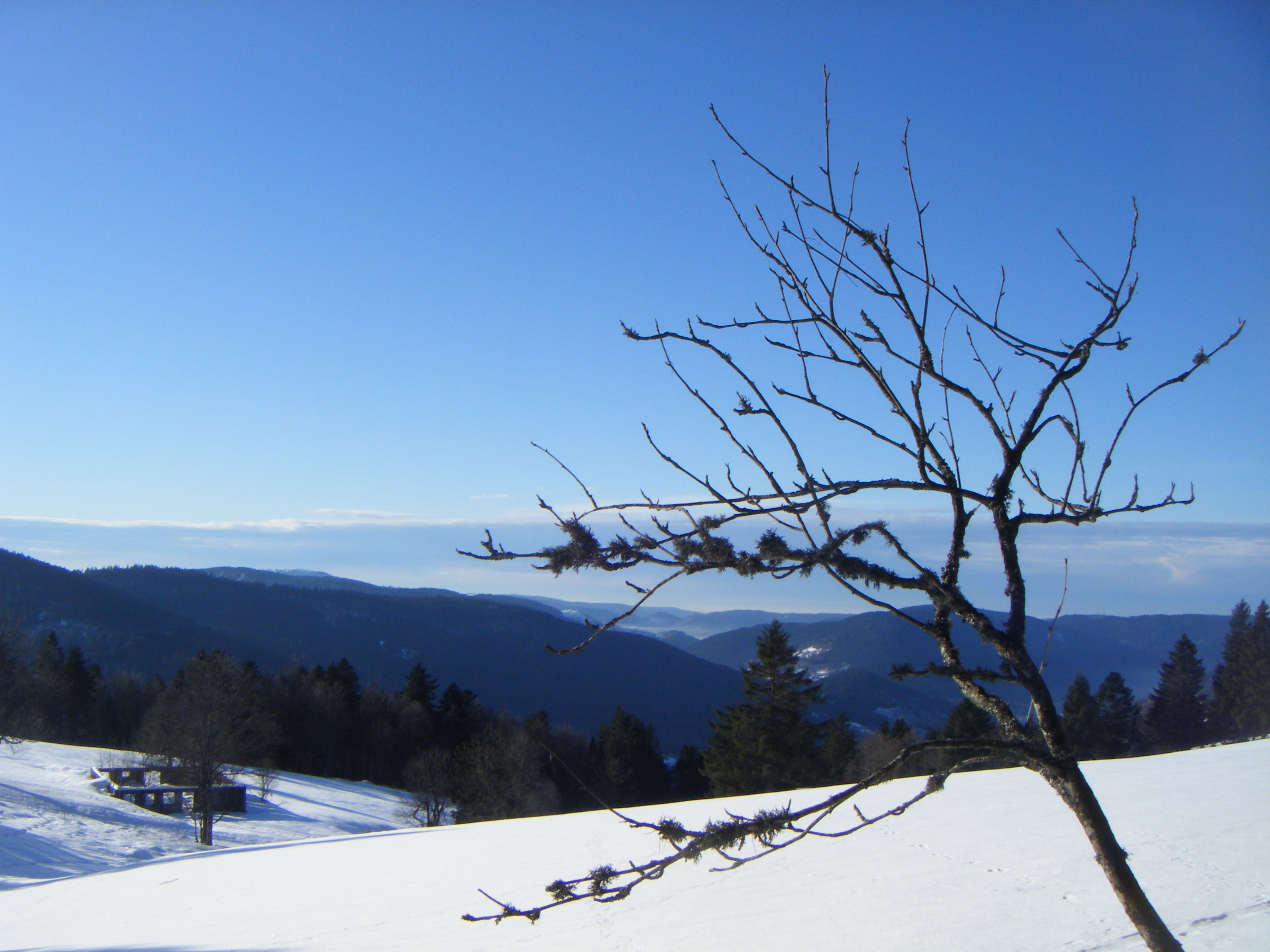 balades et randonnées raquette à la bresse vosges
