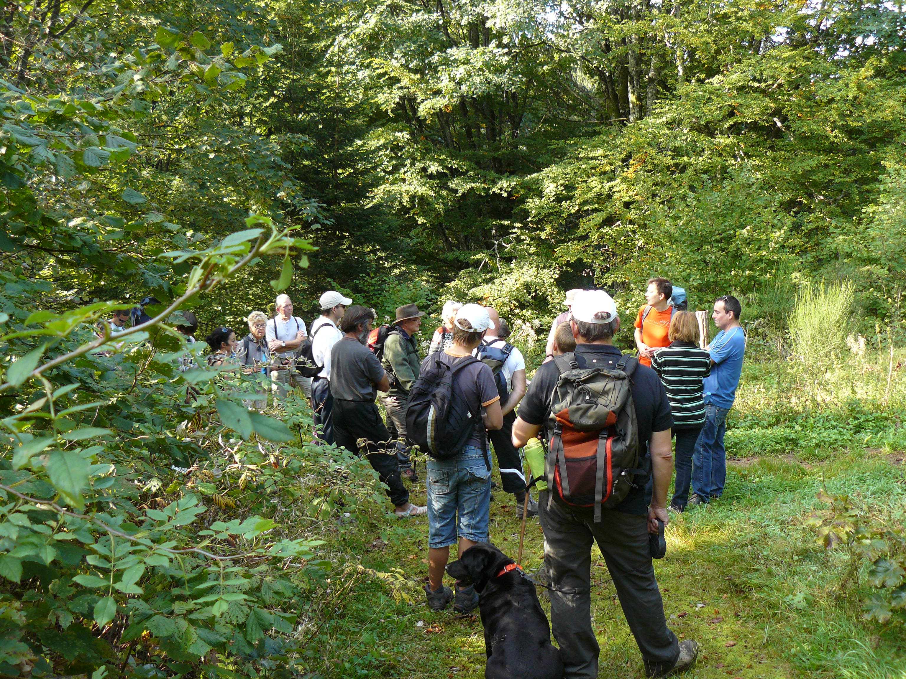 balades et jeux la bresse vosges